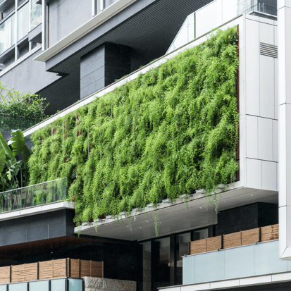 living-wall-landscaping-trends
