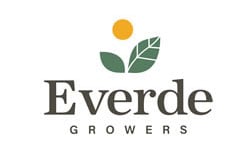 Everde-Logo-1