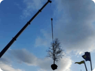 LandscapeHub News (70)