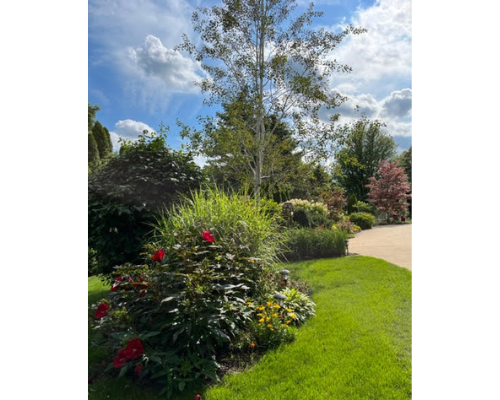 Cedar-Path-Nurseries