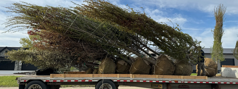 Plant Material Transported