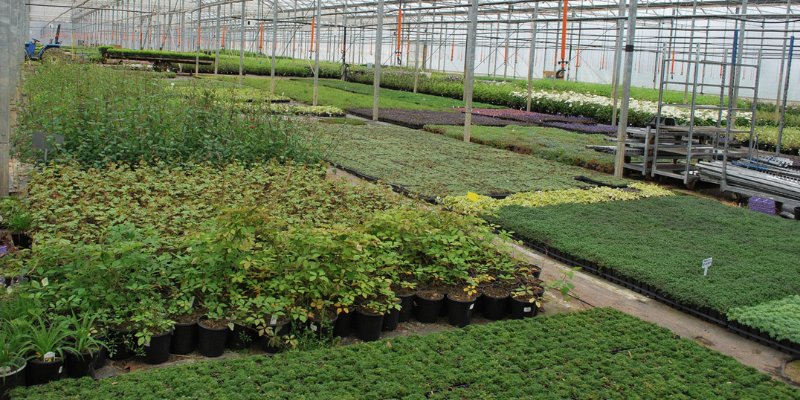 nursery