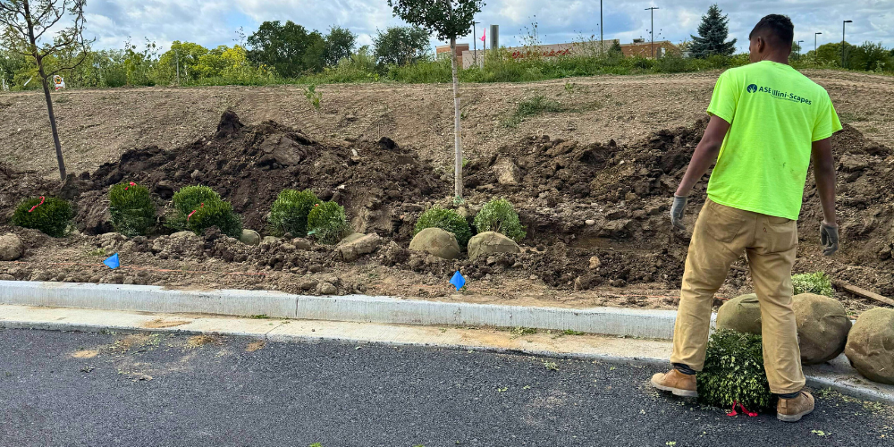 Bulk Plant Ordering