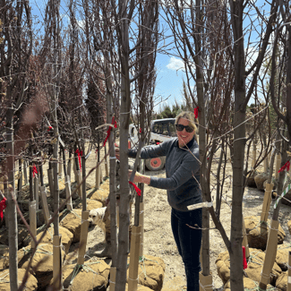 tagging tree