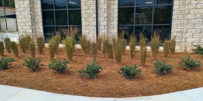 St. Brigid Catholic Church