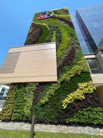 Living Wall